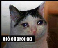 /album/rindo-no-maximo/ate-chorei-aki-jpg/